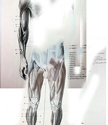 La huella del arma